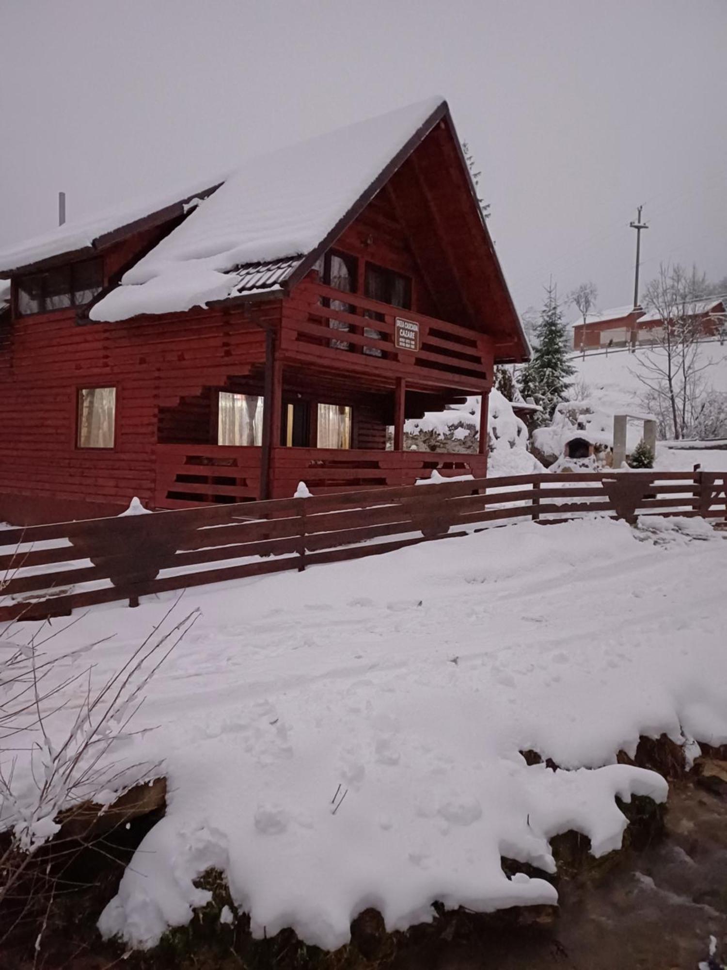 Villa Deea Cascada Vidra  Exterior foto
